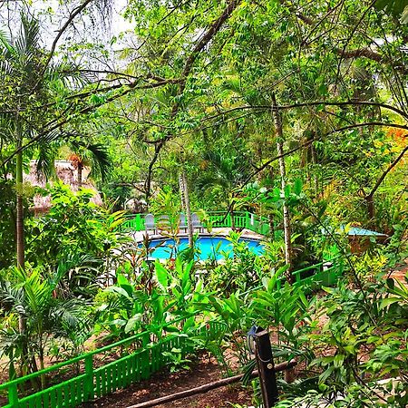 Maya Mountain Lodge サン・イグナシオ エクステリア 写真