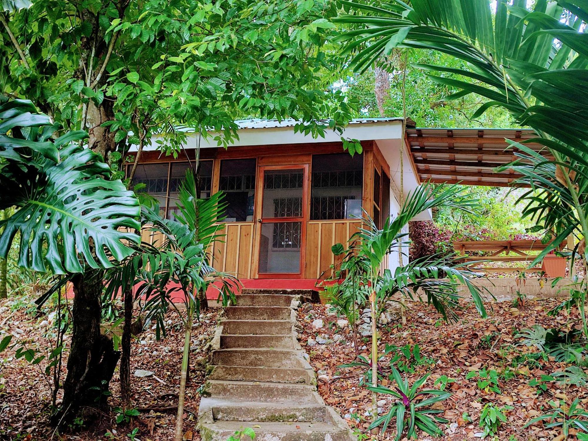 Maya Mountain Lodge サン・イグナシオ エクステリア 写真