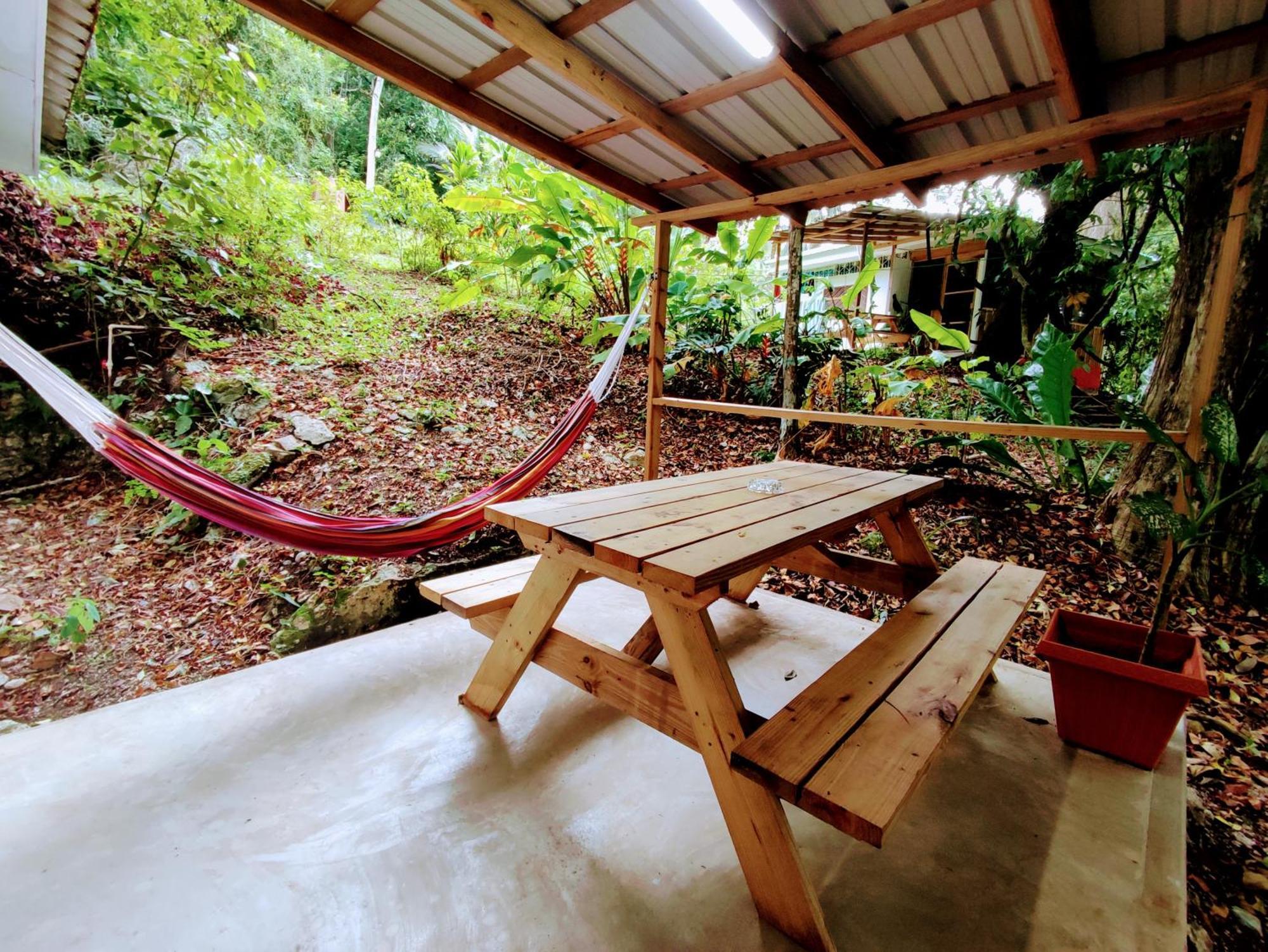 Maya Mountain Lodge サン・イグナシオ エクステリア 写真