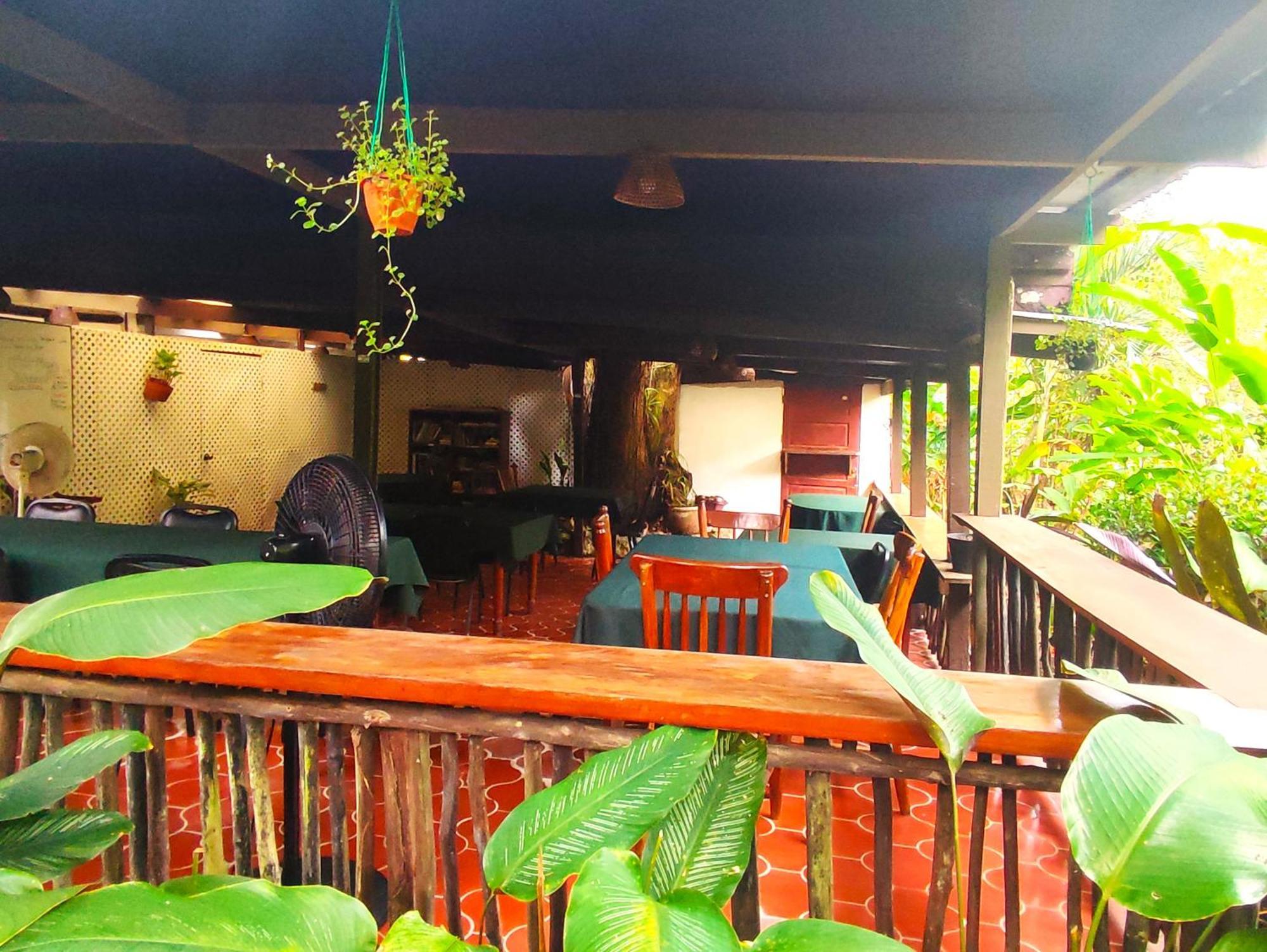 Maya Mountain Lodge サン・イグナシオ エクステリア 写真