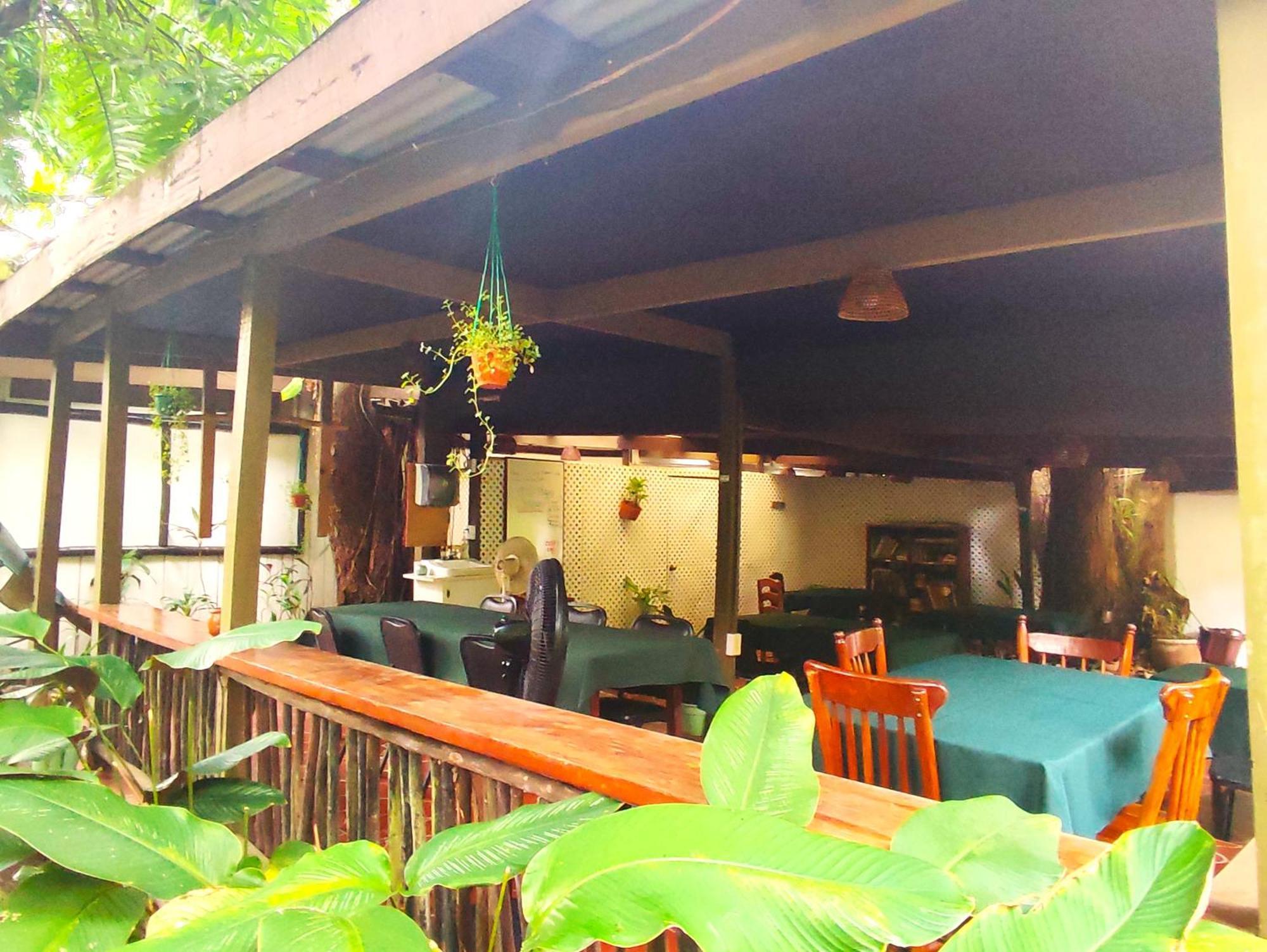 Maya Mountain Lodge サン・イグナシオ エクステリア 写真