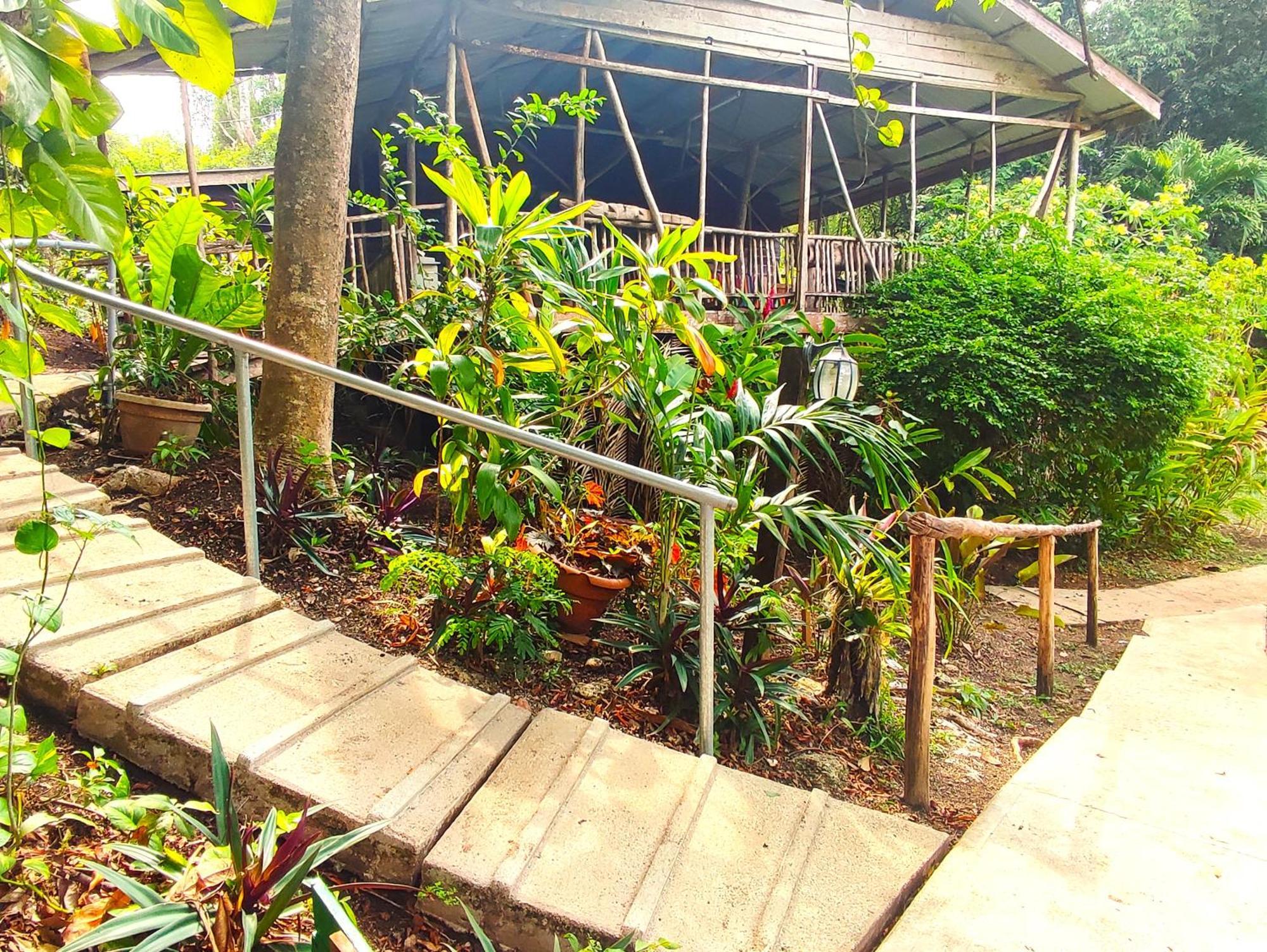 Maya Mountain Lodge サン・イグナシオ エクステリア 写真