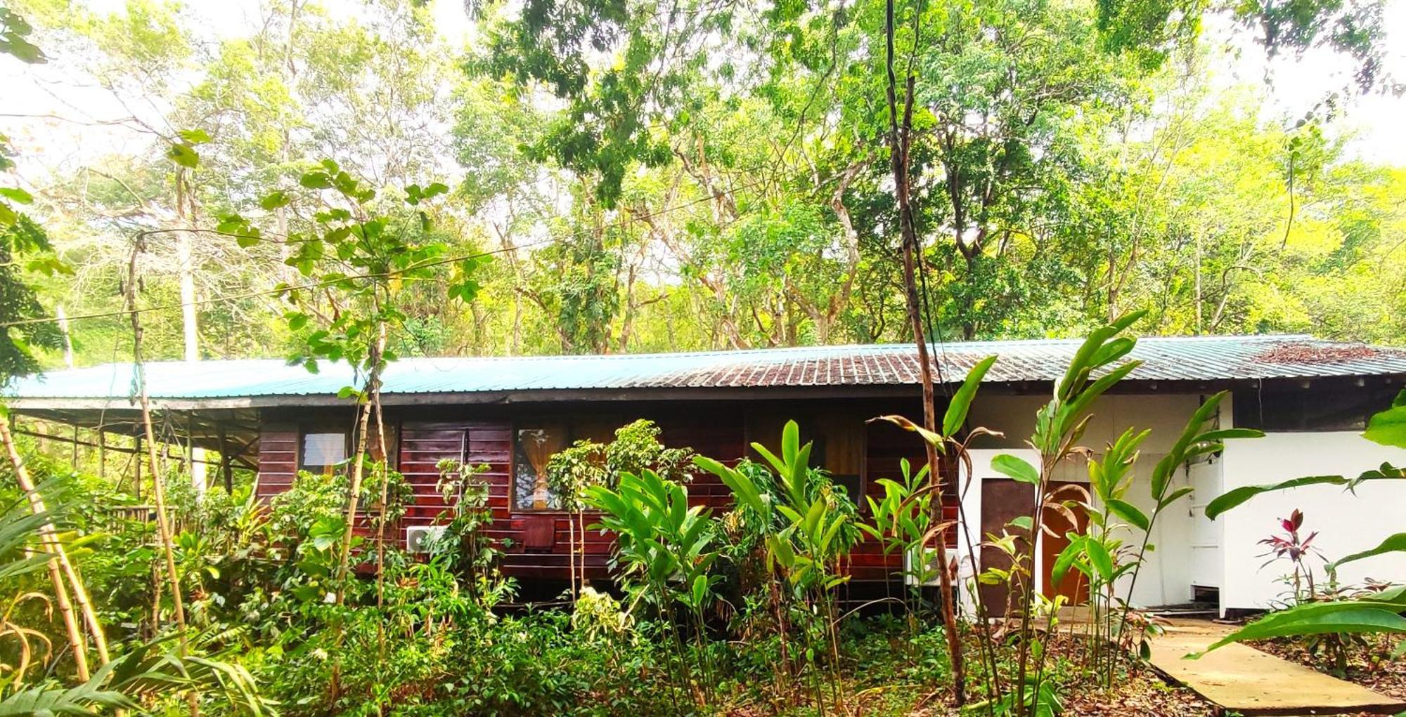 Maya Mountain Lodge サン・イグナシオ エクステリア 写真