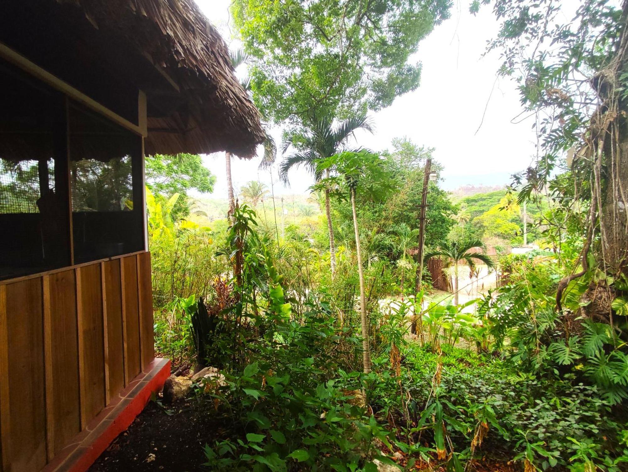 Maya Mountain Lodge サン・イグナシオ エクステリア 写真