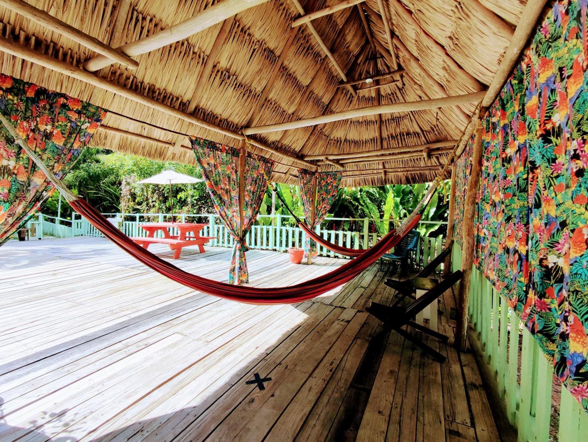 Maya Mountain Lodge サン・イグナシオ エクステリア 写真