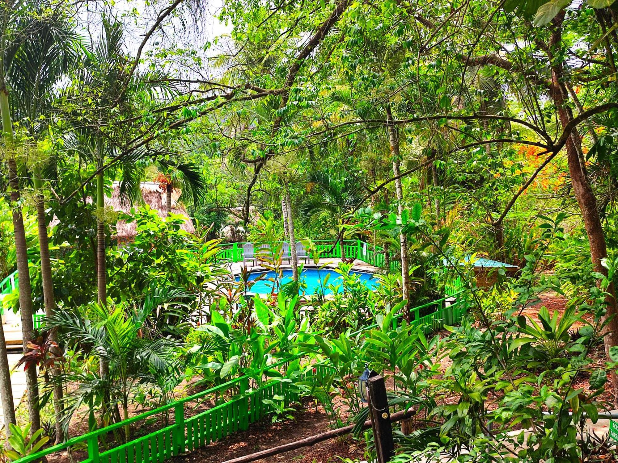 Maya Mountain Lodge サン・イグナシオ エクステリア 写真