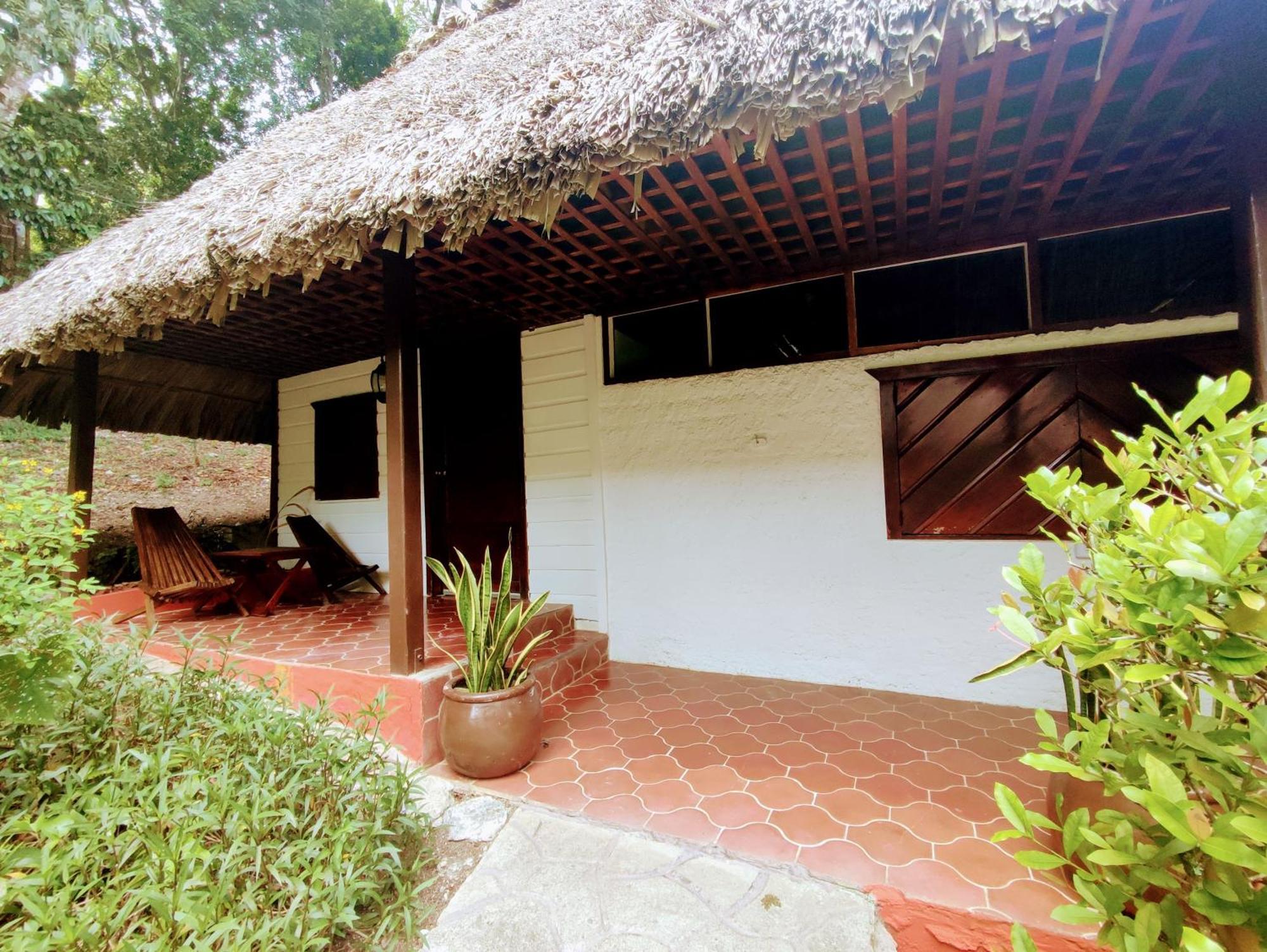 Maya Mountain Lodge サン・イグナシオ エクステリア 写真