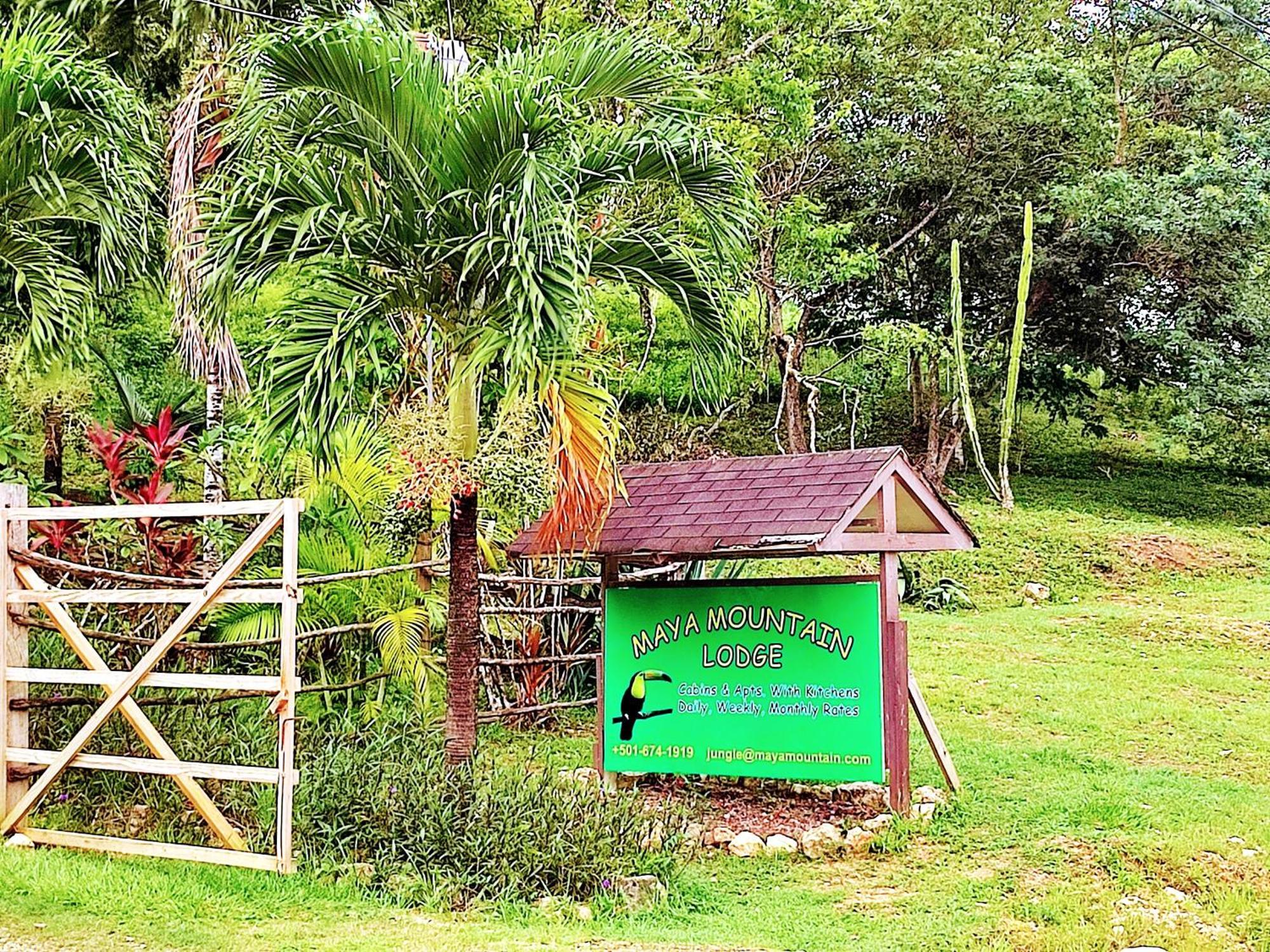 Maya Mountain Lodge サン・イグナシオ エクステリア 写真