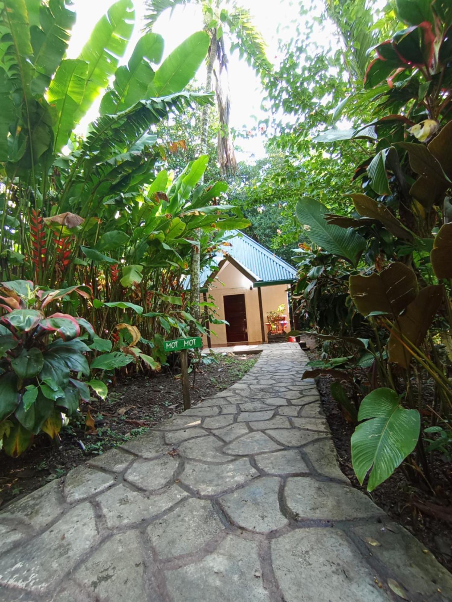 Maya Mountain Lodge サン・イグナシオ エクステリア 写真